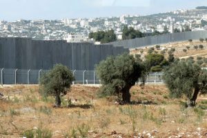 Checkpoint at the separation wall